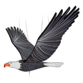 American Bald Eagle BIrd Flying Mobile