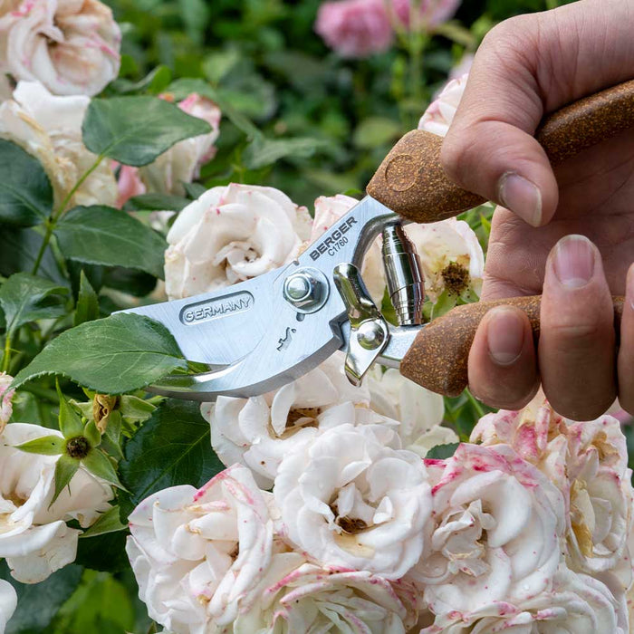 Now available in Australia through Cannings: Berger German-made hand shears with cork handles and a straight chrome-plated blade. Durable, ergonomic, and built for all-day pruning. 3