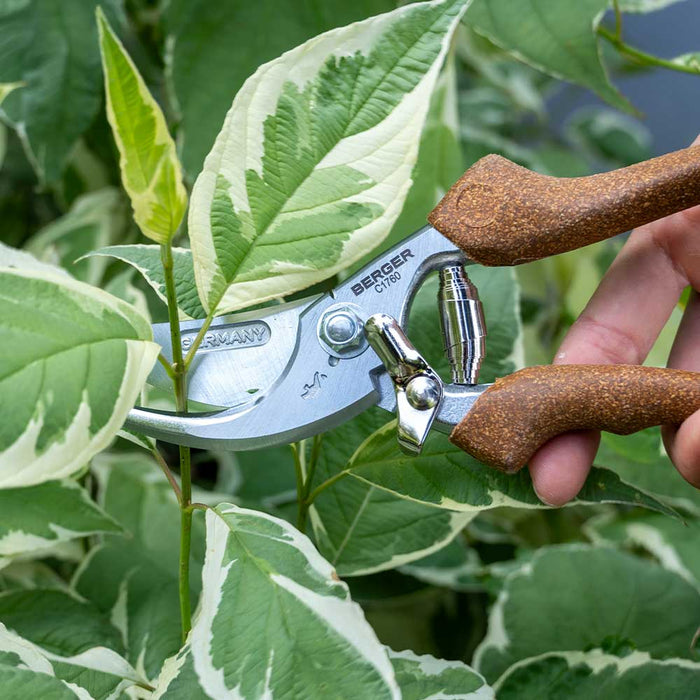 Now available in Australia through Cannings: Berger German-made hand shears with cork handles and a straight chrome-plated blade. Durable, ergonomic, and built for all-day pruning. 6