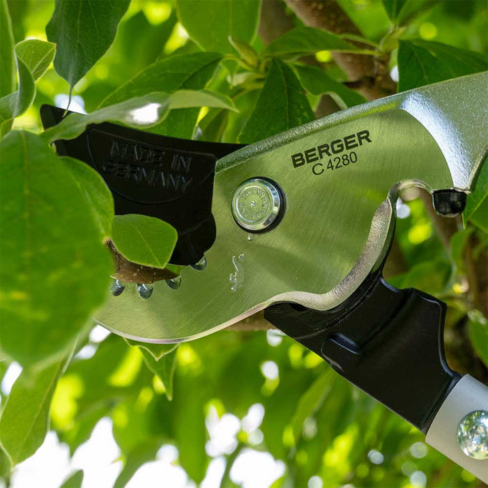 Now available in Australia through Cannings: Berger German-made MegaCutter loppers with cork handles. 82cm reach, forged steel head, oil reservoir, and shock absorbers for powerful, precise cutting. 4