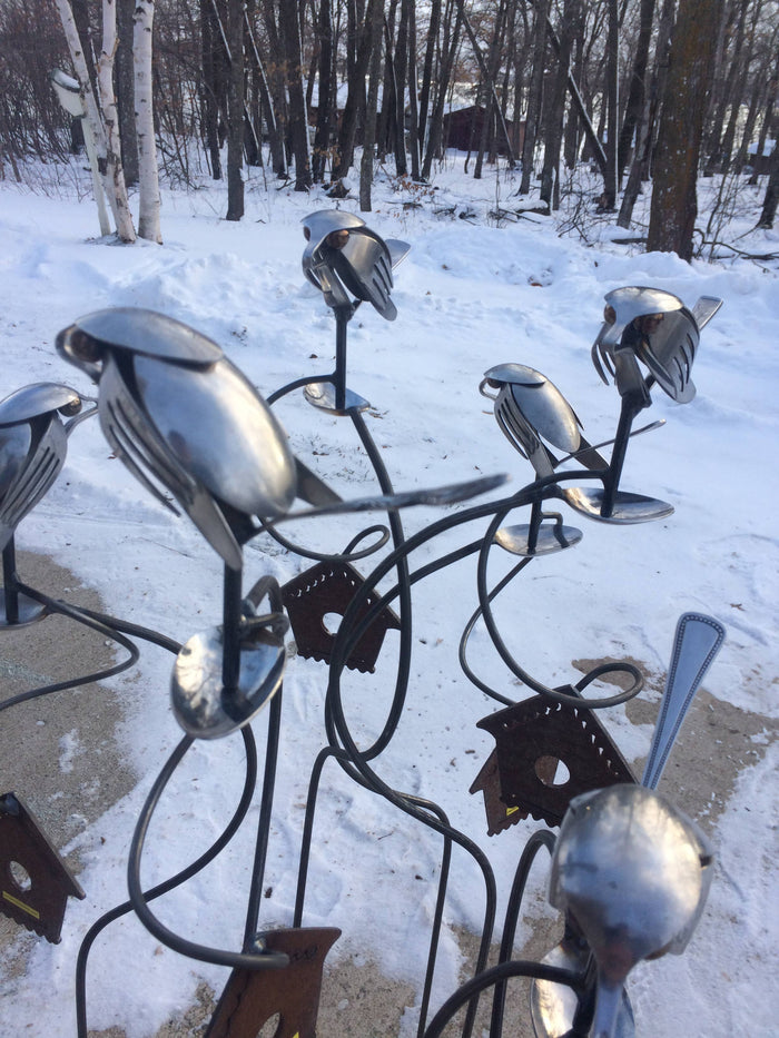 Brew Birds