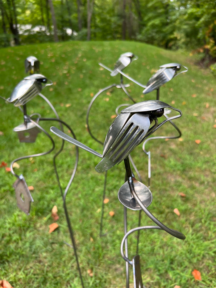 Brew Birds
