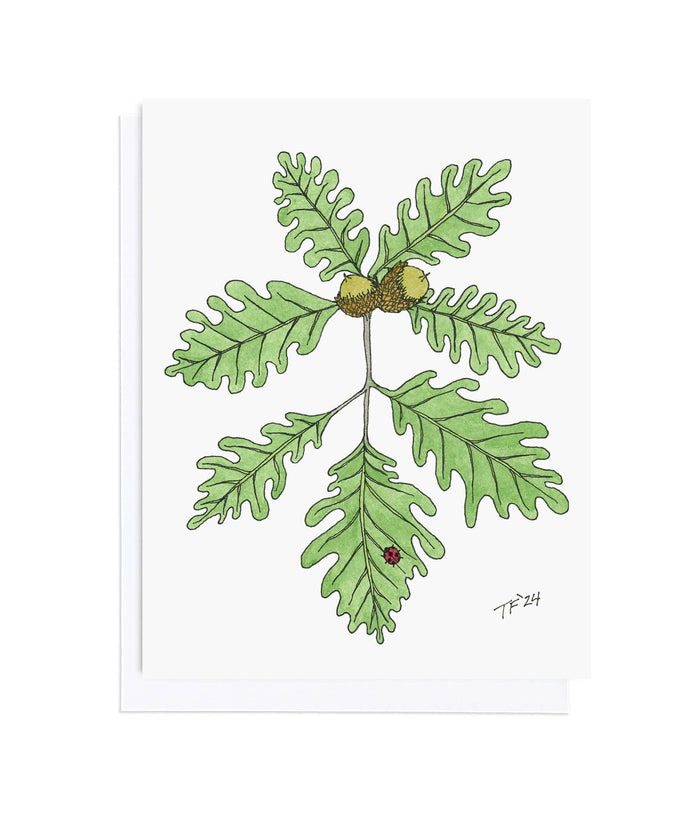 Bur Oak and Ladybug, Botanical