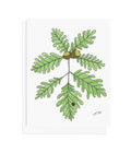 Bur Oak and Ladybug, Botanical