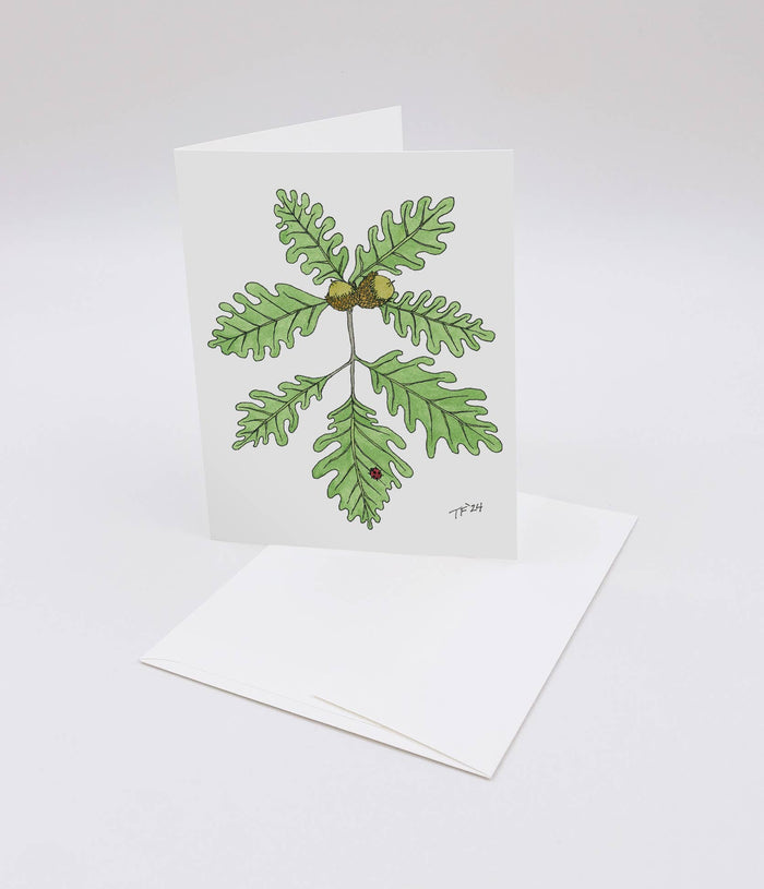 Bur Oak and Ladybug, Botanical