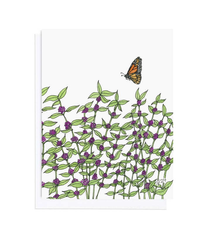 Callicarpa Americana and Monarch Butterfly, Botanical