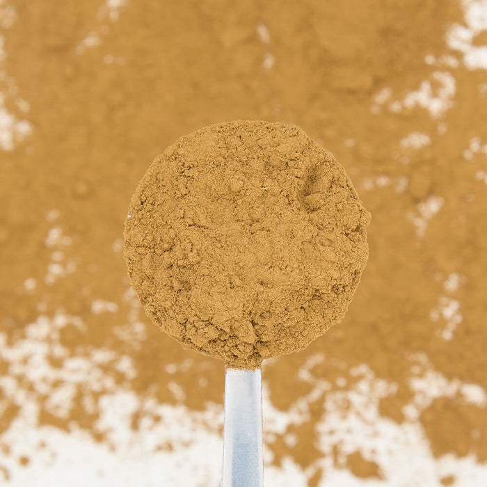 classic chai tea powder