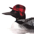 Common Loon with Flap Cap