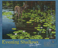 Evenings Shallows Puzzle