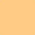 Shop the paint color 152 Florida Orange by Benjamin Moore at Anderson Paint Company in Ann Arbor, Michigan.