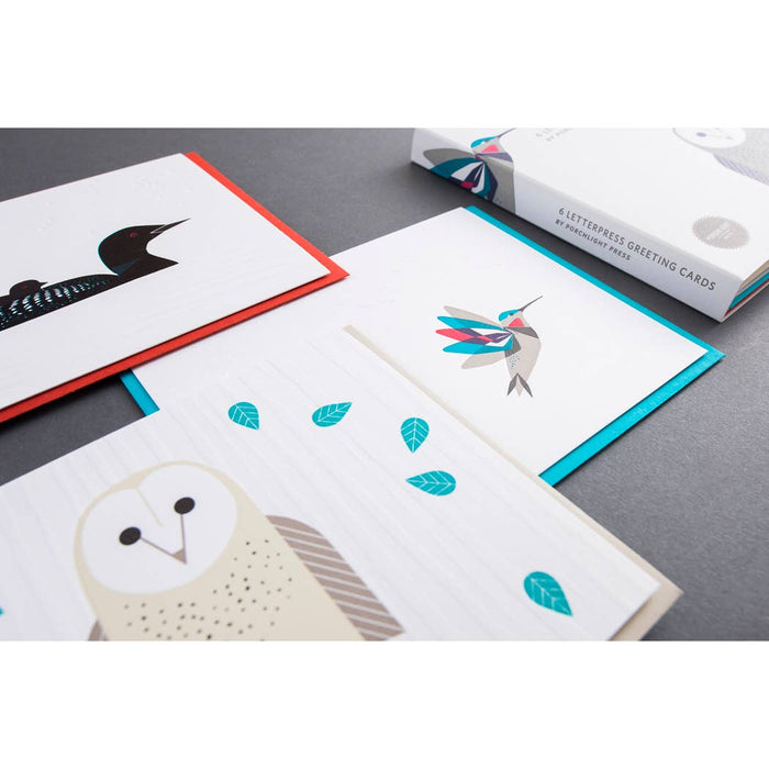 Folder Set - Modern Birds - Assorted Set of 6