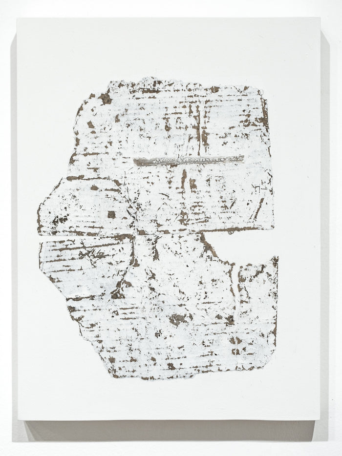 Fragmentation Installation Series 19
