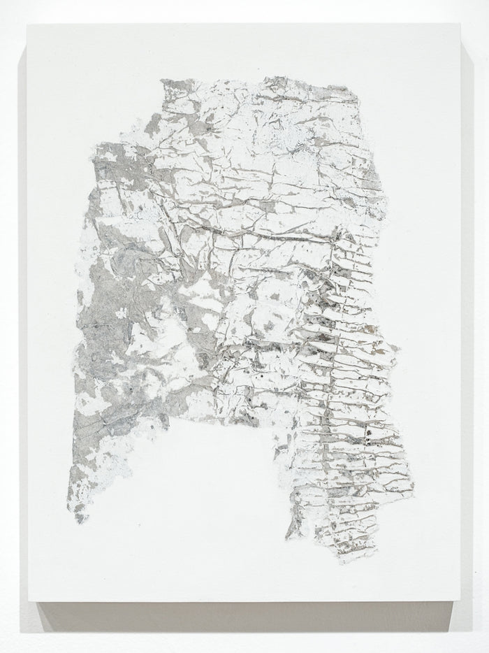 Fragmentation Installation Series 27