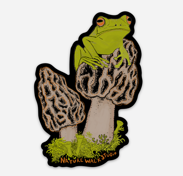 Frog found a morel mushroom decal