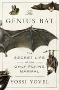 Genius Bat The Secret Life Of The Only Flying Mammal