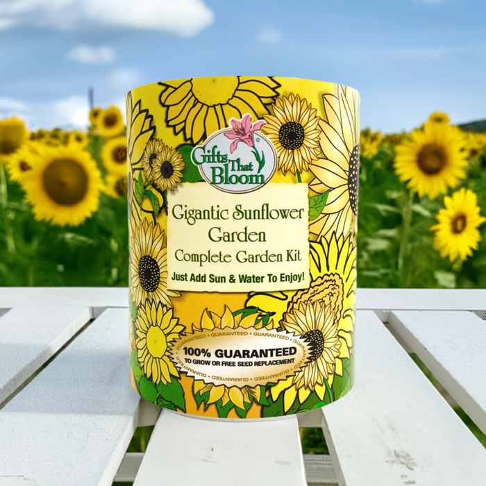 Gigantic Sunflower Garden Grocan Seed Kit