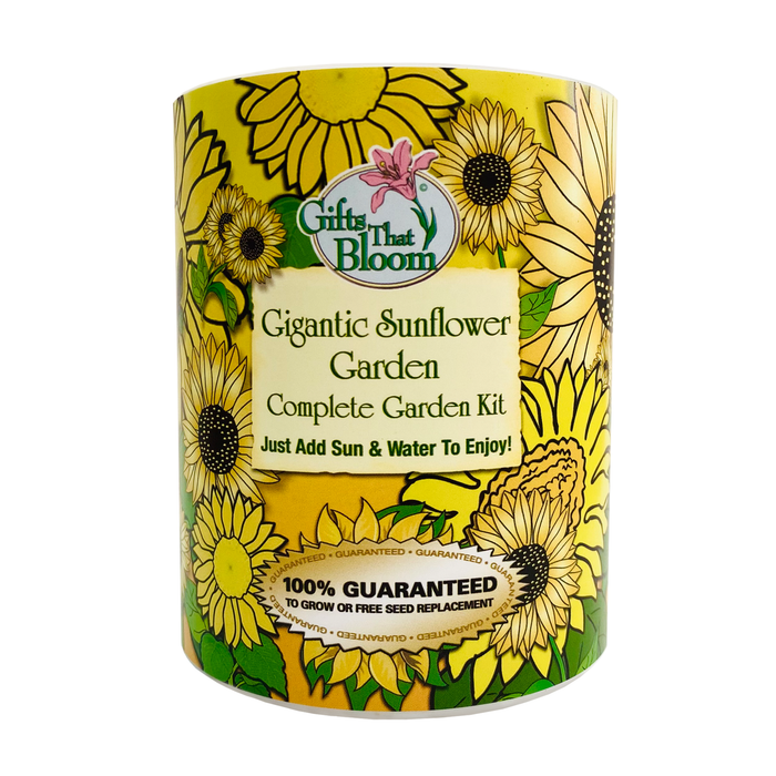 Gigantic Sunflower Garden Grocan Seed Kit