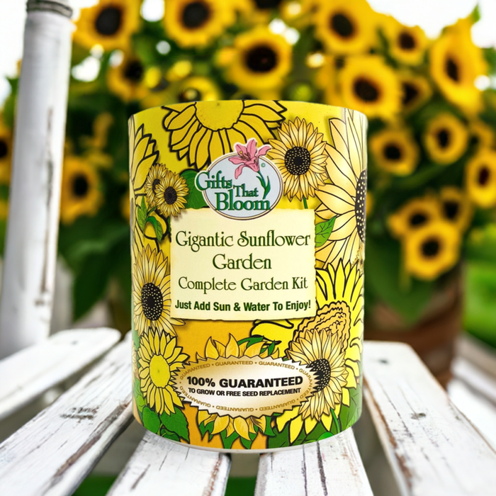 Gigantic Sunflower Garden Grocan Seed Kit