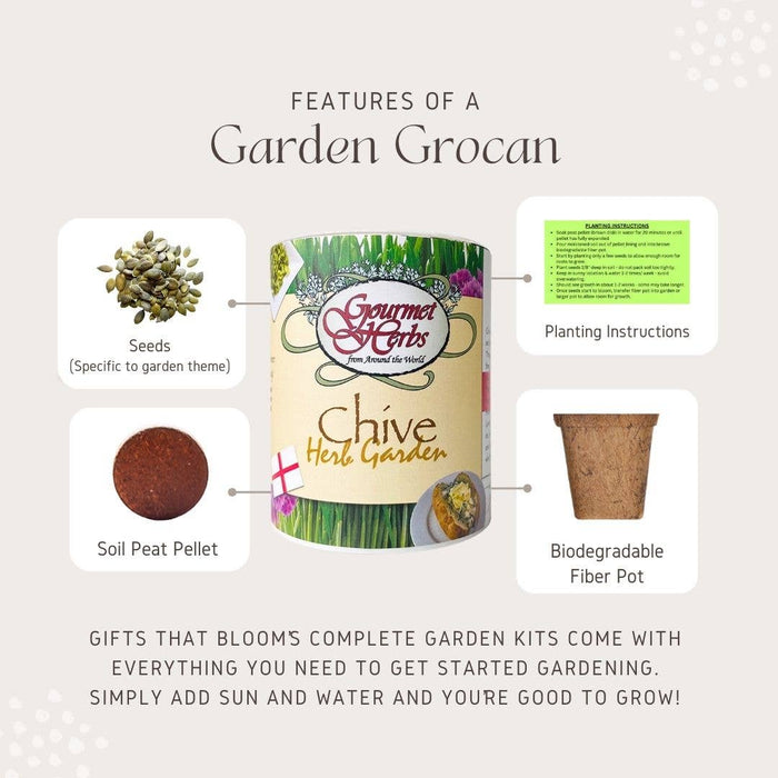 Gigantic Sunflower Garden Grocan Seed Kit