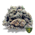 Grapefruit - Hidden Hills Club