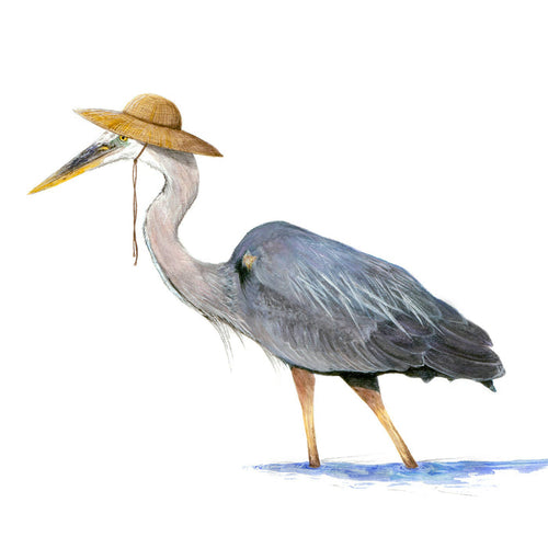 "Great Blue Heron with Straw Hat"