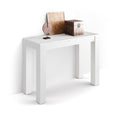 Hallway Console Table Rachele 45x18 in, Ashwood White