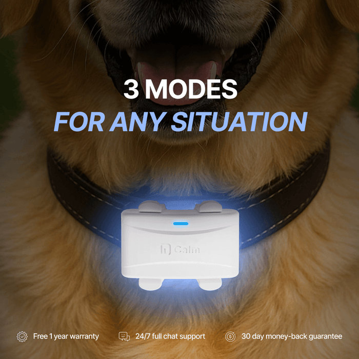 Helio Calm Device (TT)