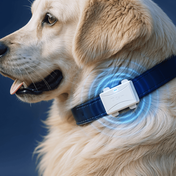 Helio Calm Device
