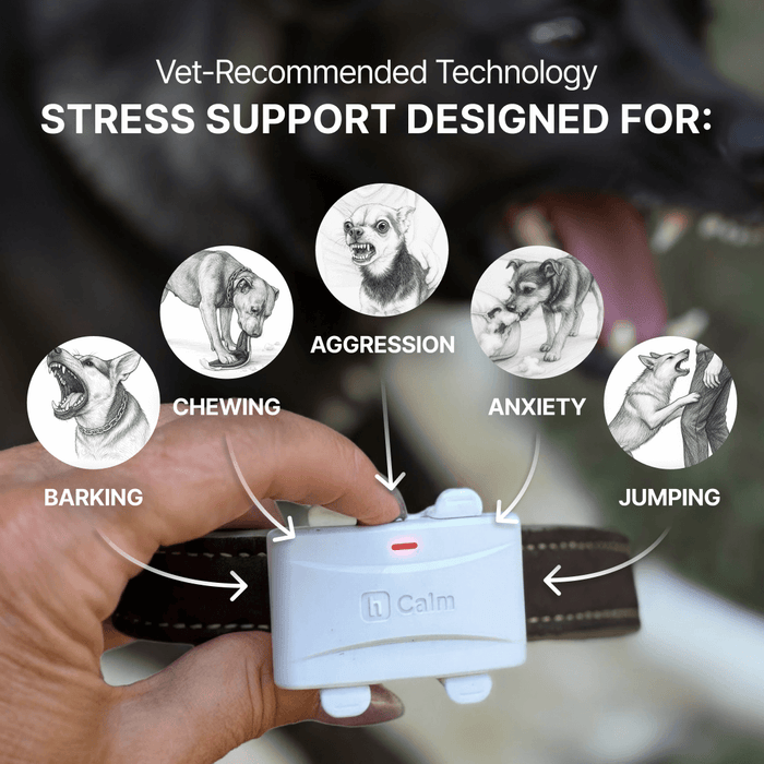 Helio Calm Device