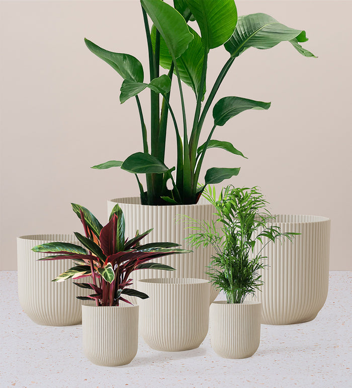 Linen White Elho Vibes Pot (18cm)