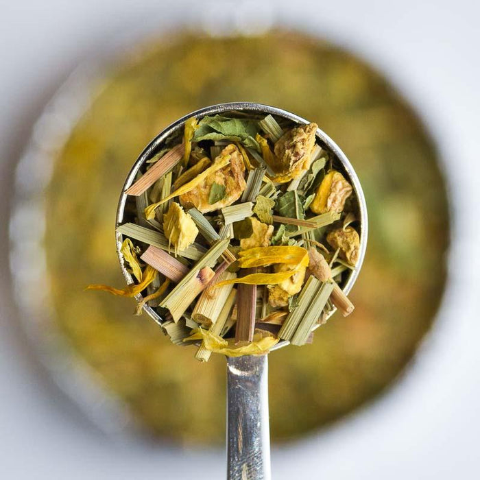 morning kick yerba mate loose leaf tea in perfect tea spoon