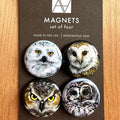 Owls Magnet Set