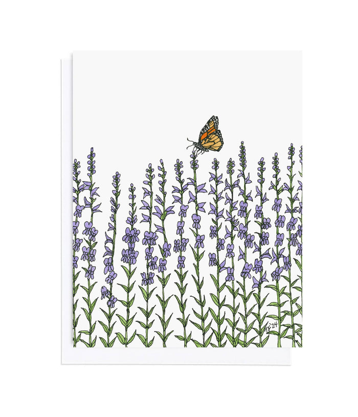 Penstemon Strictus and Monarch Butterfly, Botanical