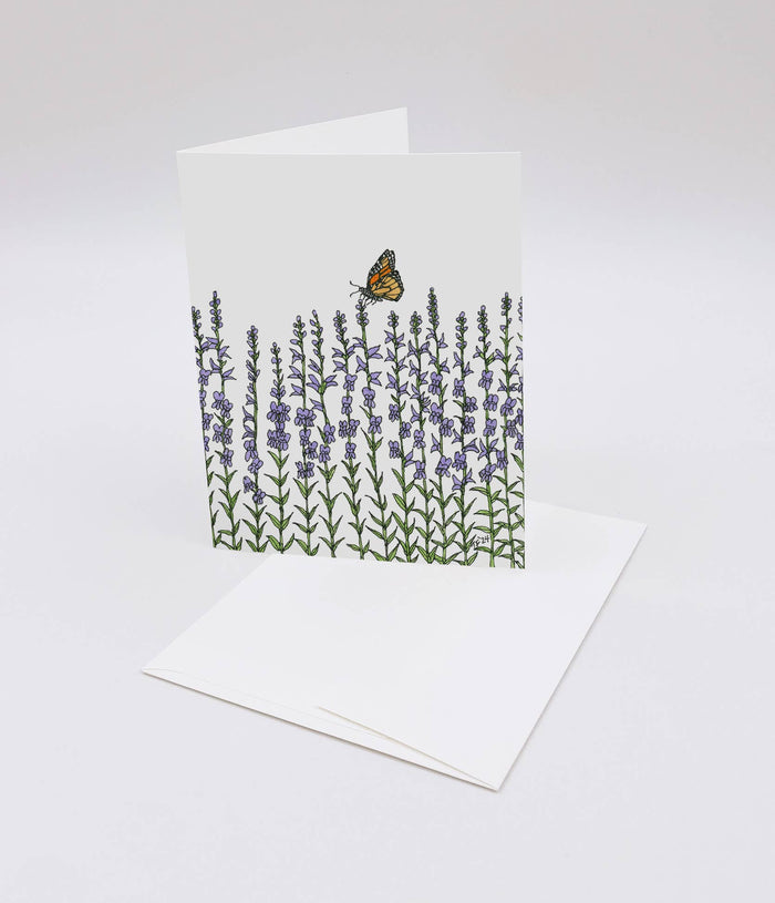Penstemon Strictus and Monarch Butterfly, Botanical