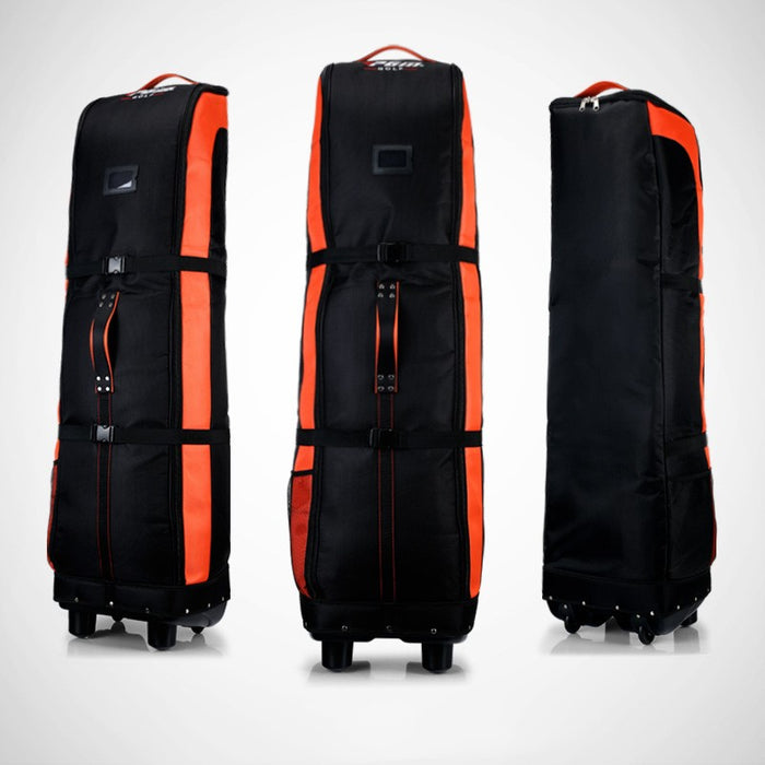 Black orange / Common
