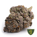 Rainbow Berries - Hidden Hills Club