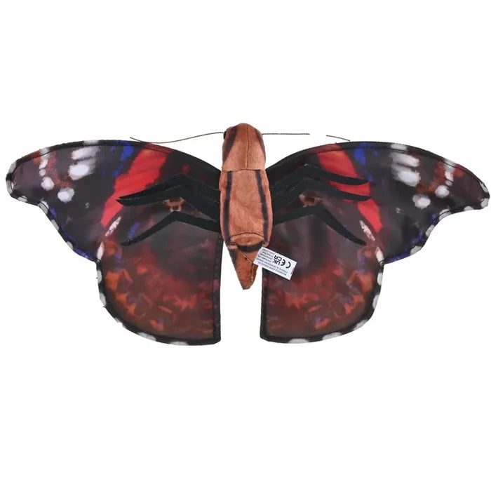 Red Admiral Butterfly