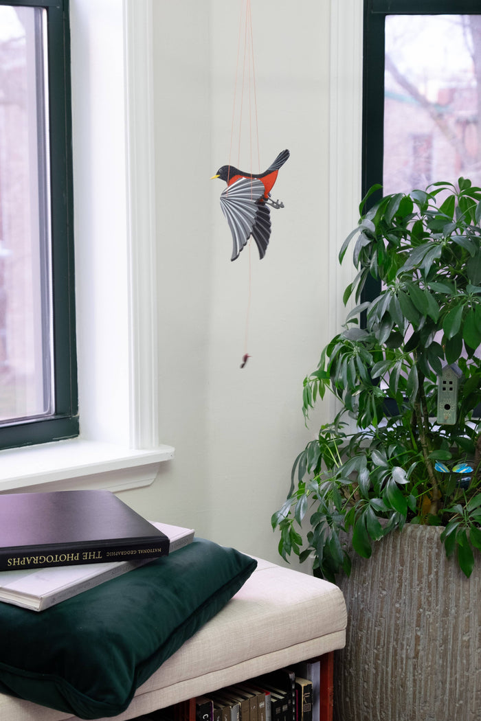 Robin Bird Flying Mobile