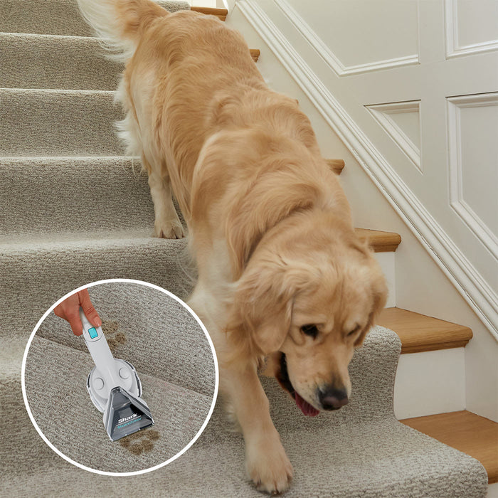Shark StainStriker Pet Stain & Spot Cleaner | PX200UKT