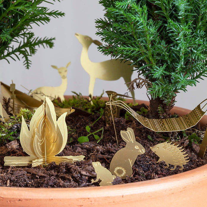 Tiny Camping for your plants