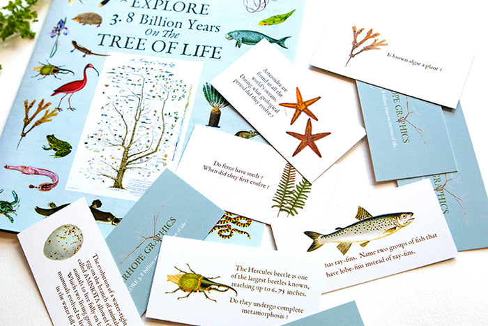 Tree of Life Poster (History of Existing Life)